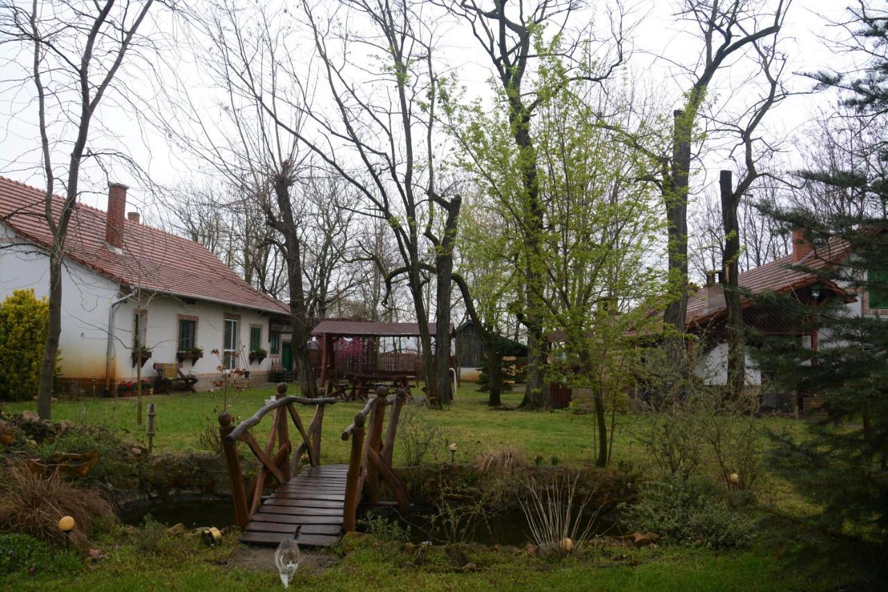 Nemeth Tanya Vendeghaz Guest House Pusztaszer Exterior photo